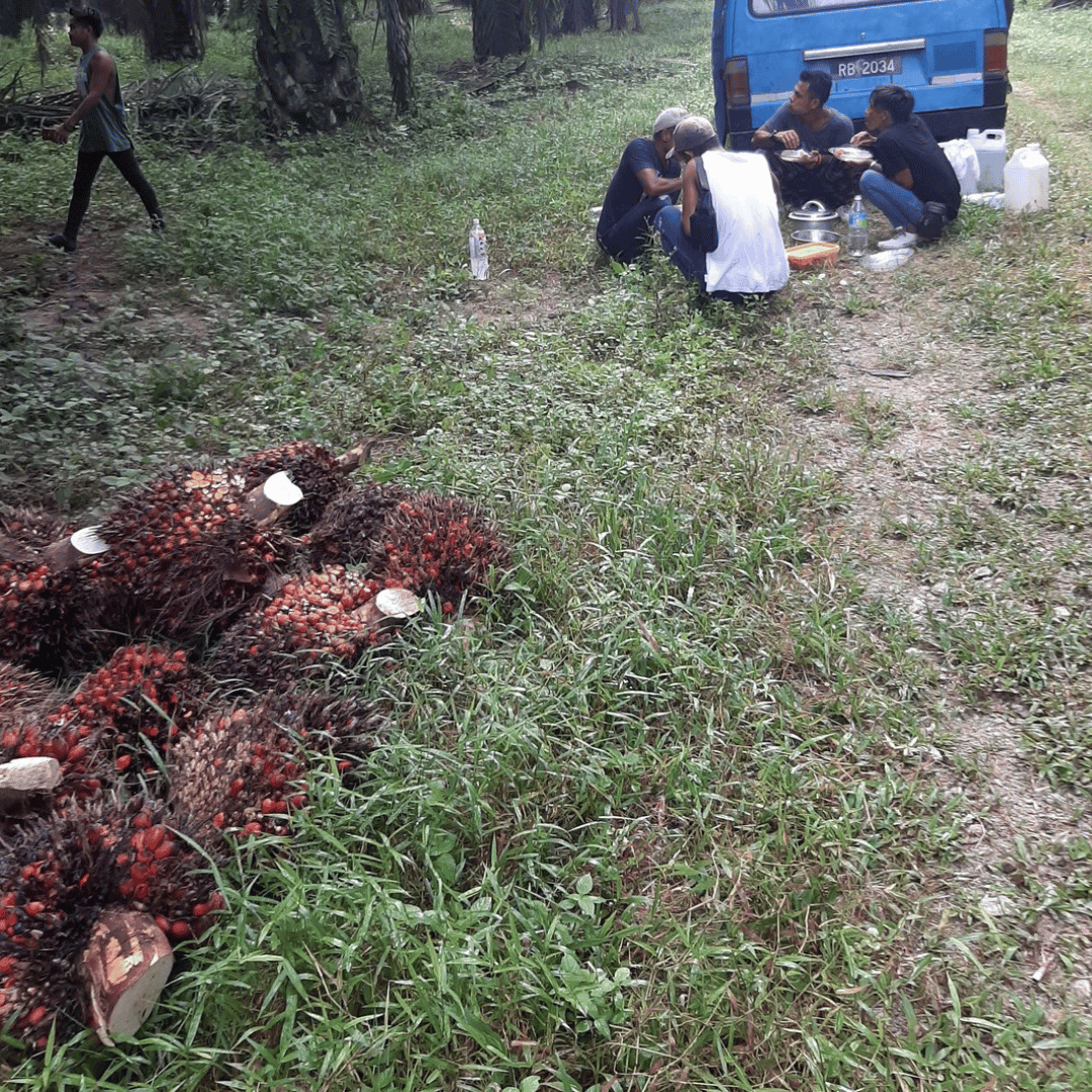 hhe projek (3)