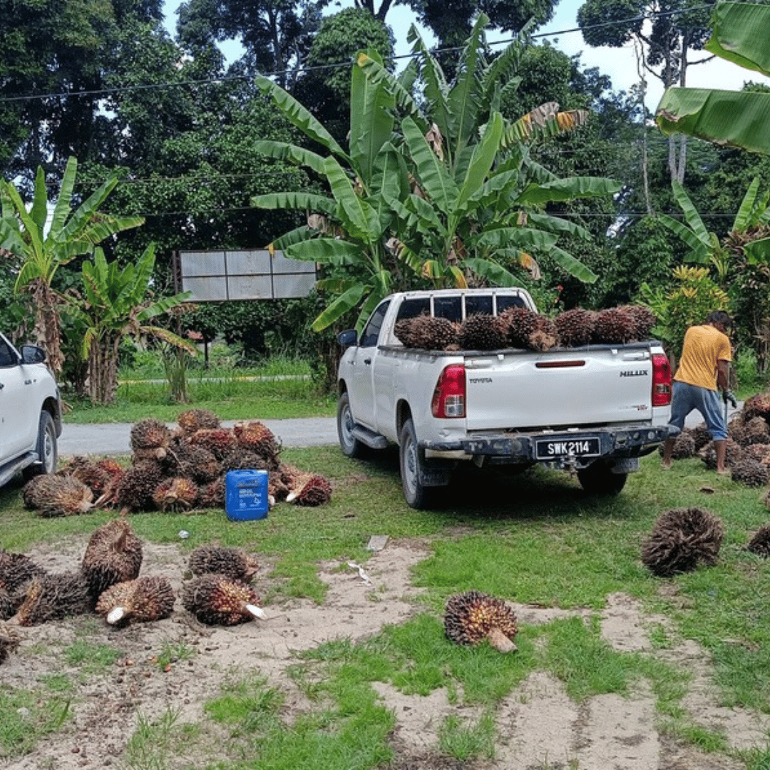 hhe projek (4)