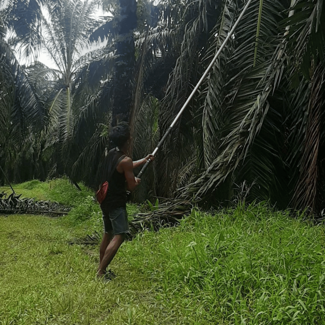 hhe projek (5)